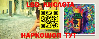 дживик Новозыбков