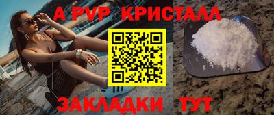 СК Новокубанск