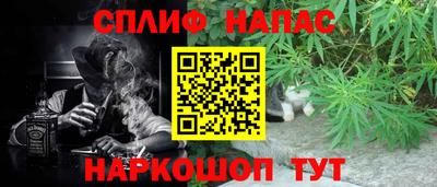 СК Новокубанск