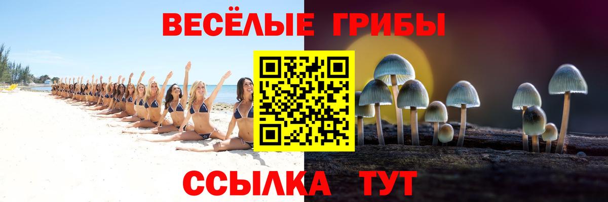 Псилоцибиновые грибы MAGIC MUSHROOMS Родники